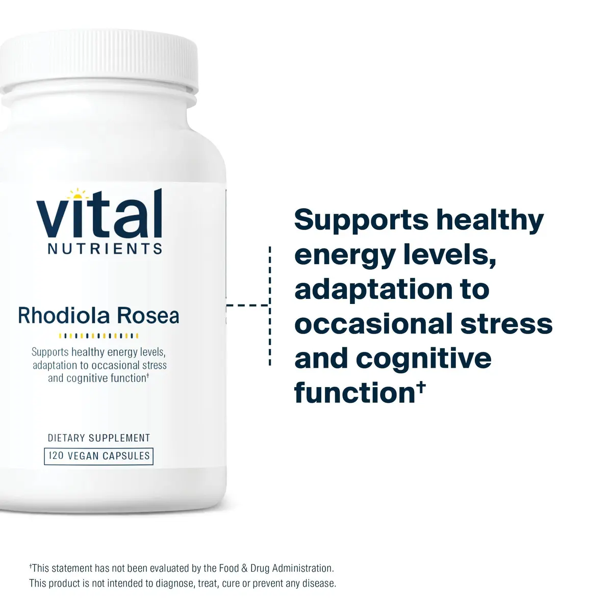 Vital Nutrients Rhodiola Rosea 120 Capsules | Adaptogenic Herb for Energy & Stress - view 5