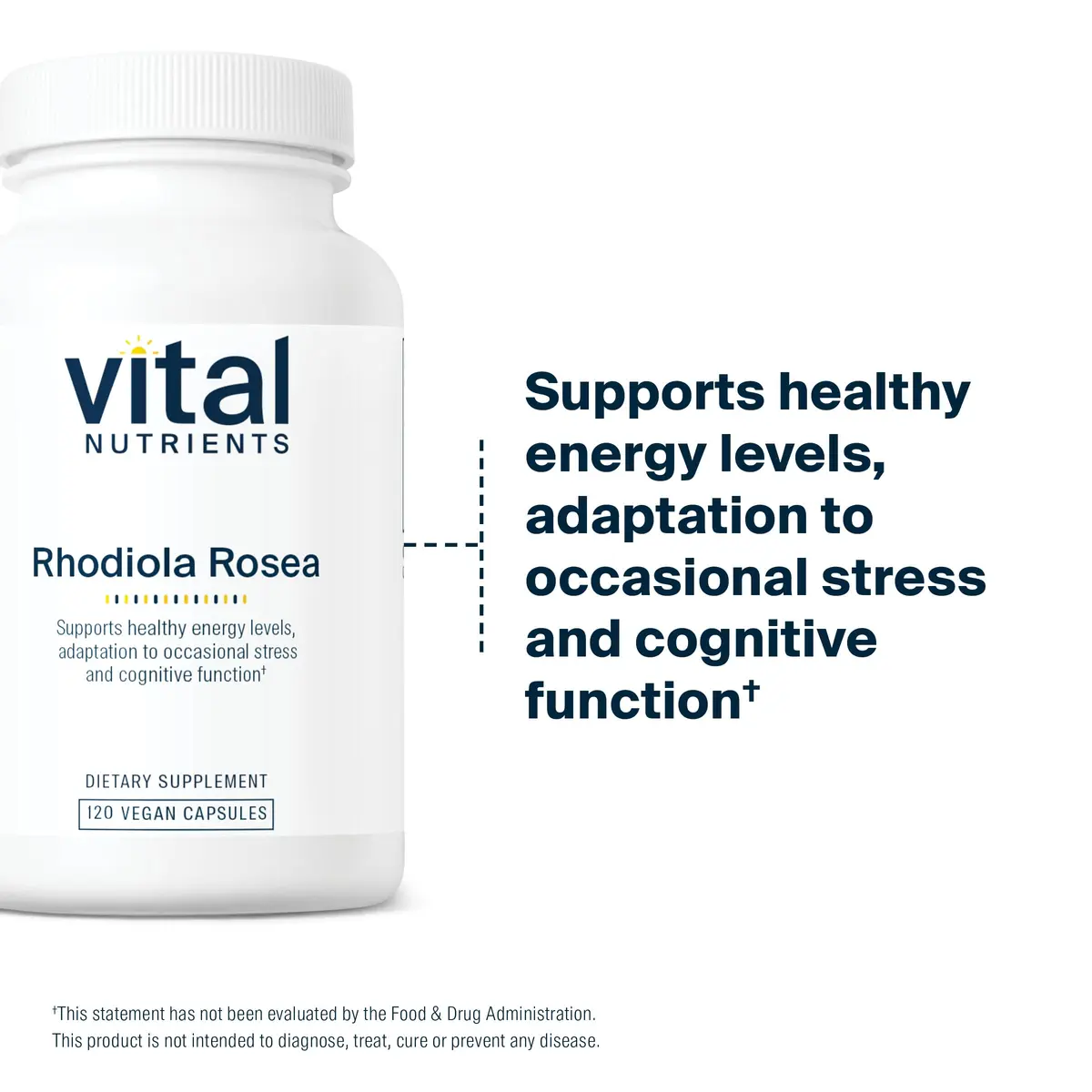 Vital Nutrients Rhodiola Rosea 120 Capsules | Adaptogenic Herb for Energy & Stress - view 6