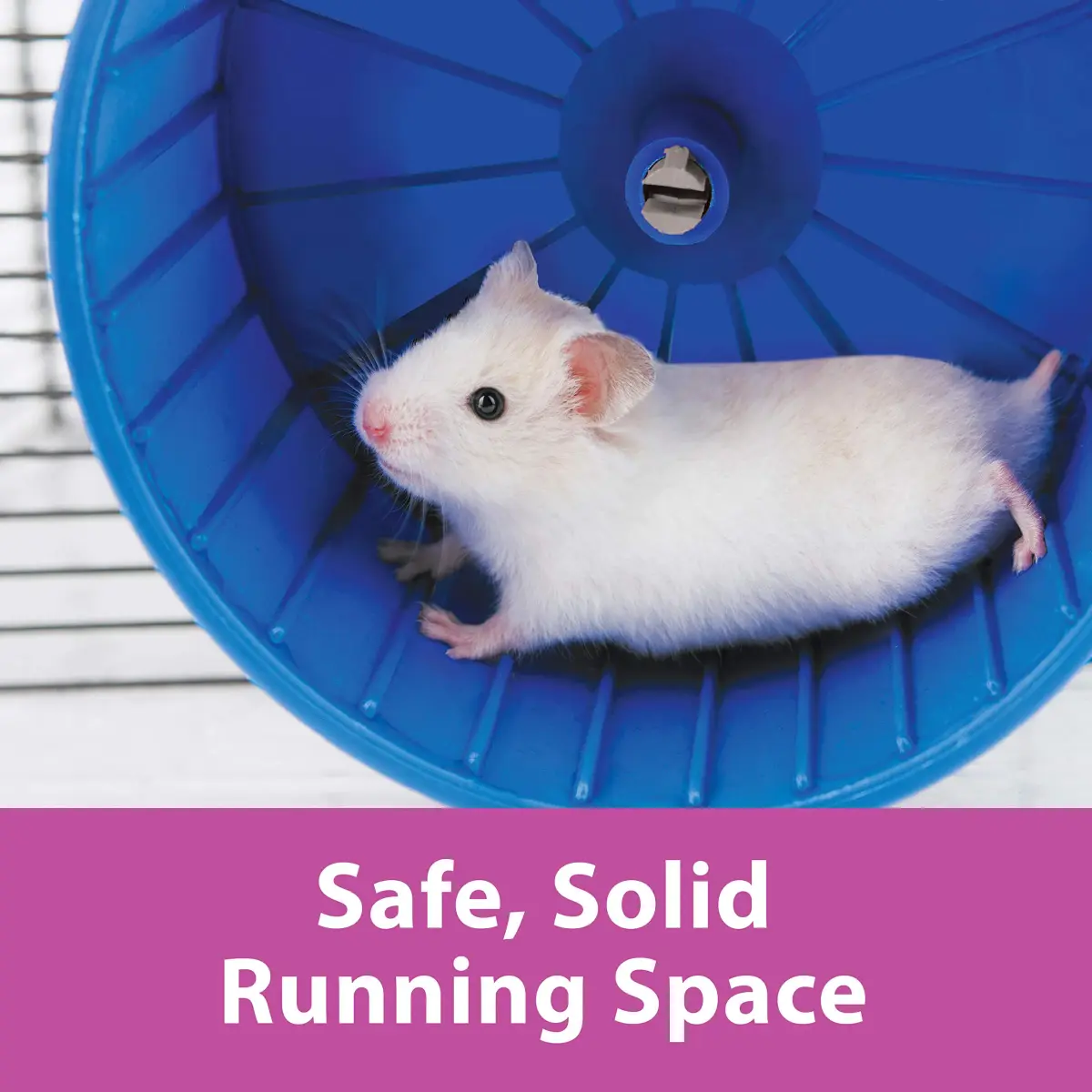 Kaytee Comfort Wheel Giant 12 Inch | Safe Solid Running Surface for Rats, Chinchillas, Hedgehogs - view 6