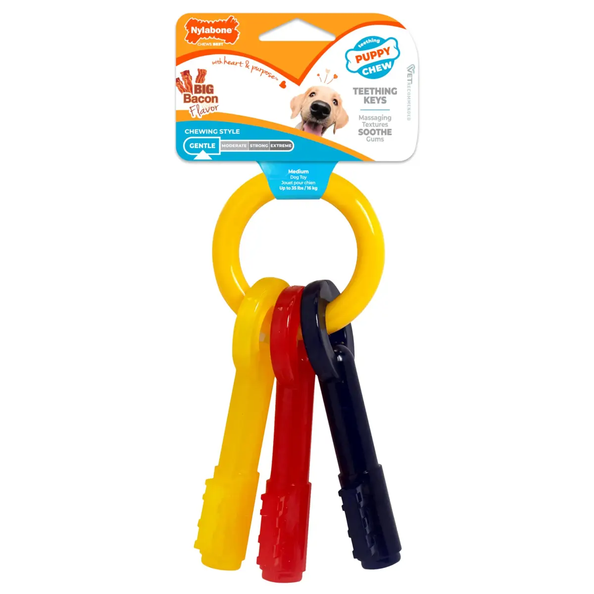 Nylabone Puppy Chew Teething Keys Dog Chew Toy, Bacon Flavor, Medium | Soothes Gums & Cleans Teeth - main product image