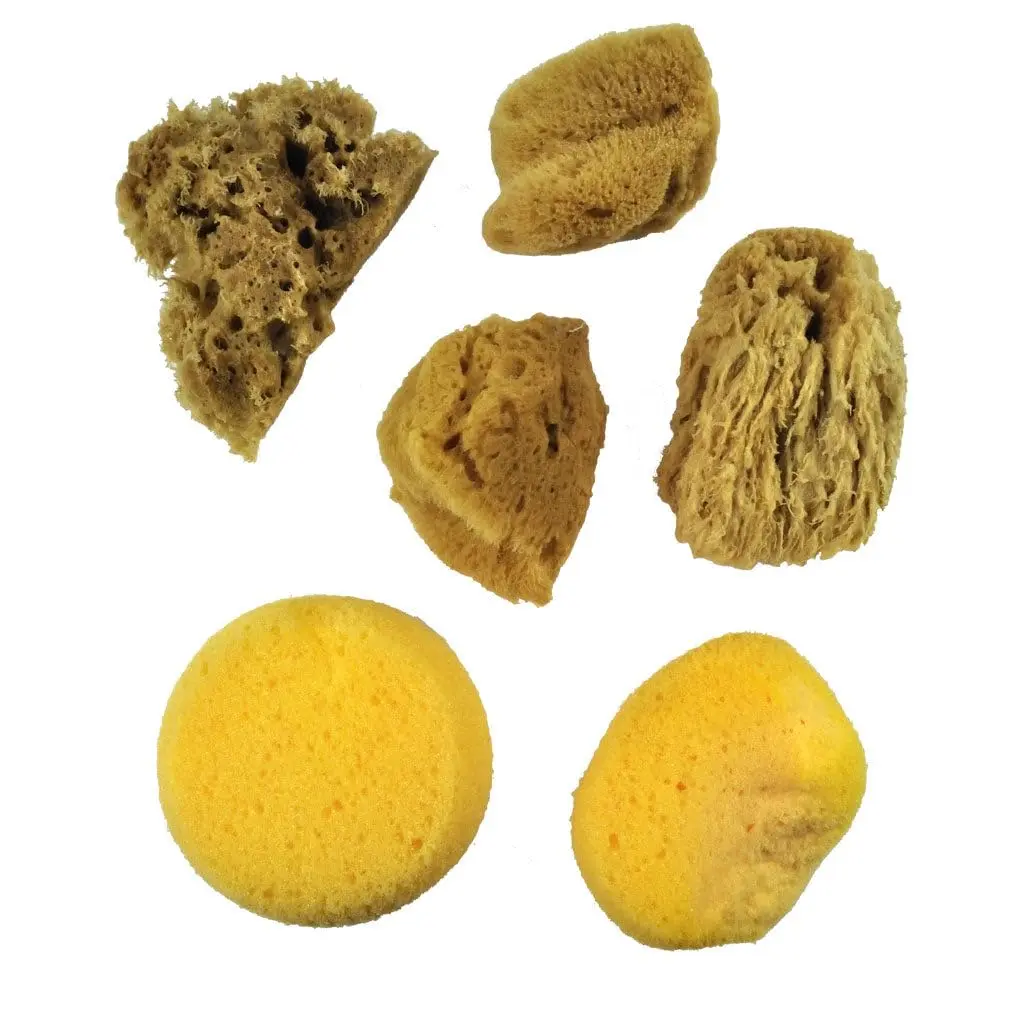 Royal & Langnickel Watercolor Sponges 6/Pkg | Art & Craft Utility Sponge Set for Painting Projects - view 2
