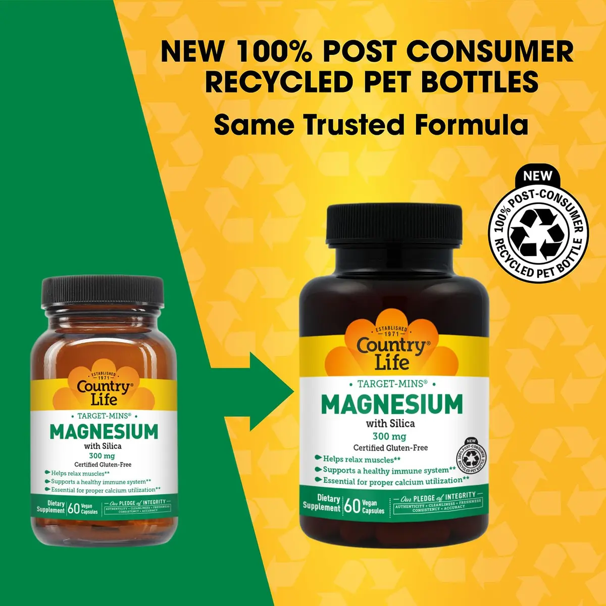 Country Life Target-Mins Magnesium with Silica 300mg Capsules (60 Count) | Essential Mineral for Nervous System & Bone Health - view 2