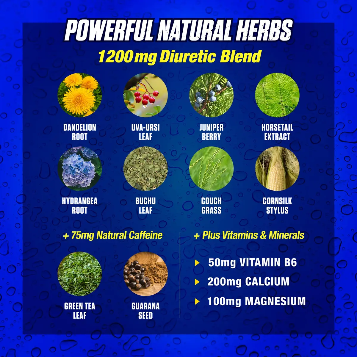 Maximum Human Performance Xpel Maximum Strength Diuretic Water Pills 80 Capsules | Rapid Water Loss & Bloating Support - view 5