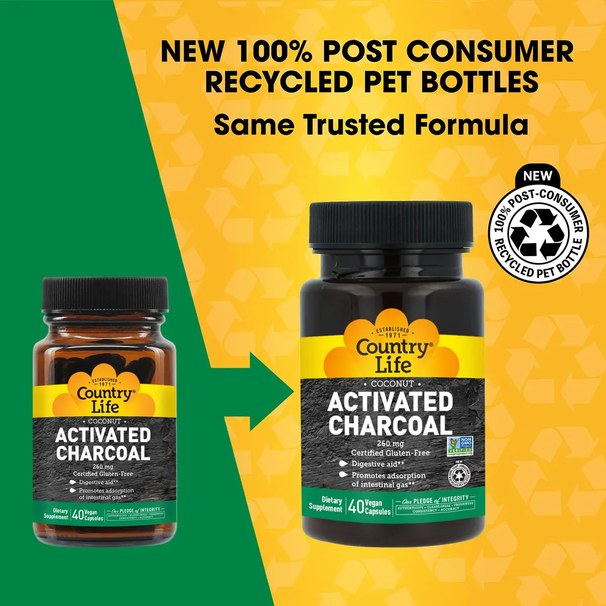 Country Life Coconut Activated Charcoal 260 mg | Vegan Capsules for Digestive Health Support - view 2