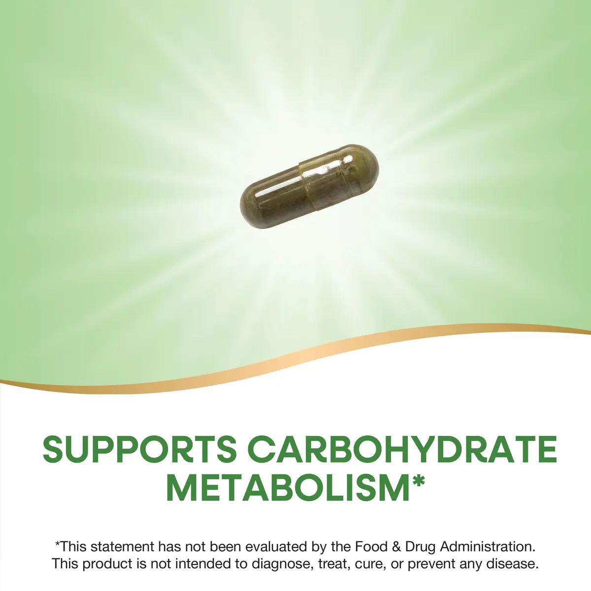 Nature's Way Gymnema Premium Extract 500 mg 60 Capsules | Supports Carbohydrate Metabolism - view 3