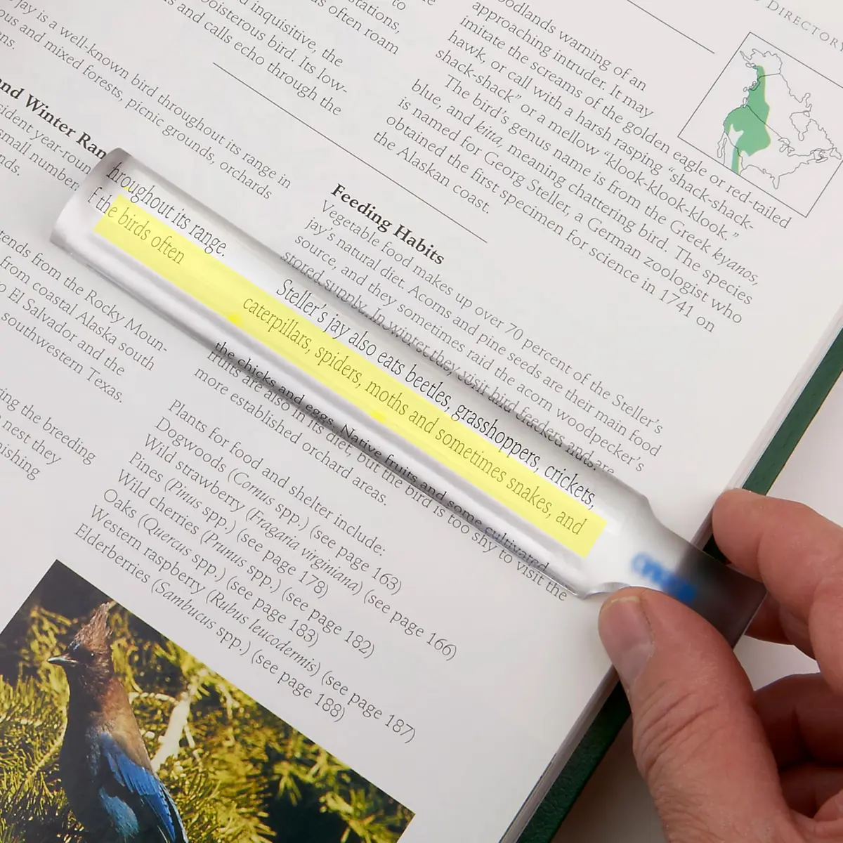 Carson MagniRead 1.5x Magnifier | Crystal Clear Acrylic Lens for Reading & Fine Print - view 2