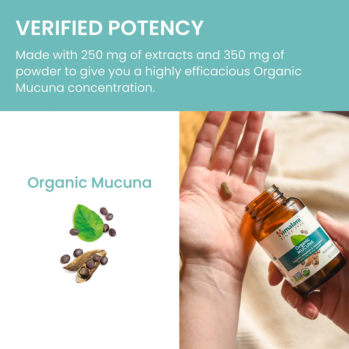Himalaya USDA Organic Mucuna Pruriens Supplement, 600 mg | Supports Relaxation & Mood (110 chars) - view 6