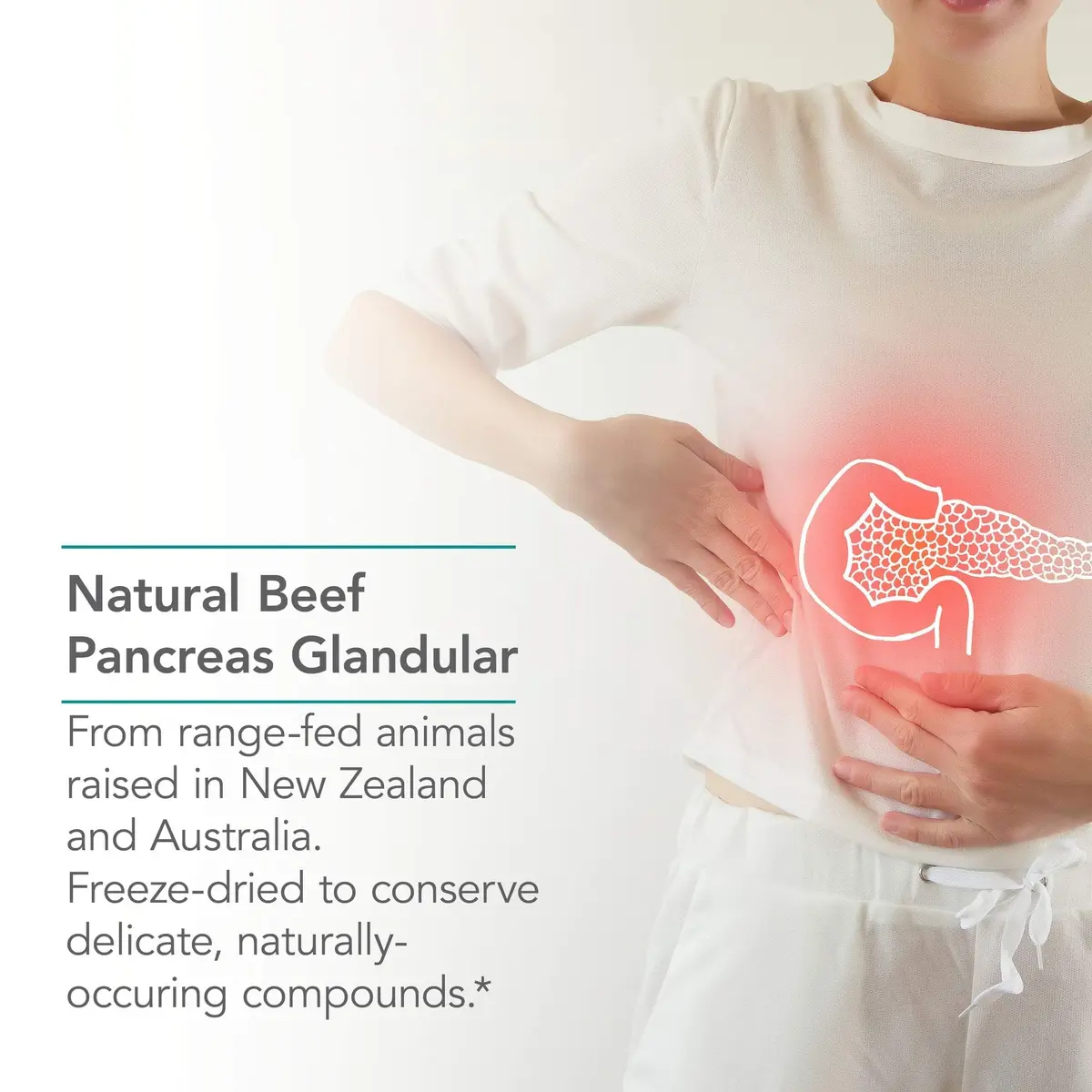 Allergy Research Group Nutricology Pancreas Lamb, Freeze Dried, 90 Count | Supports Digestive Enzymes & Bioactivity - view 4
