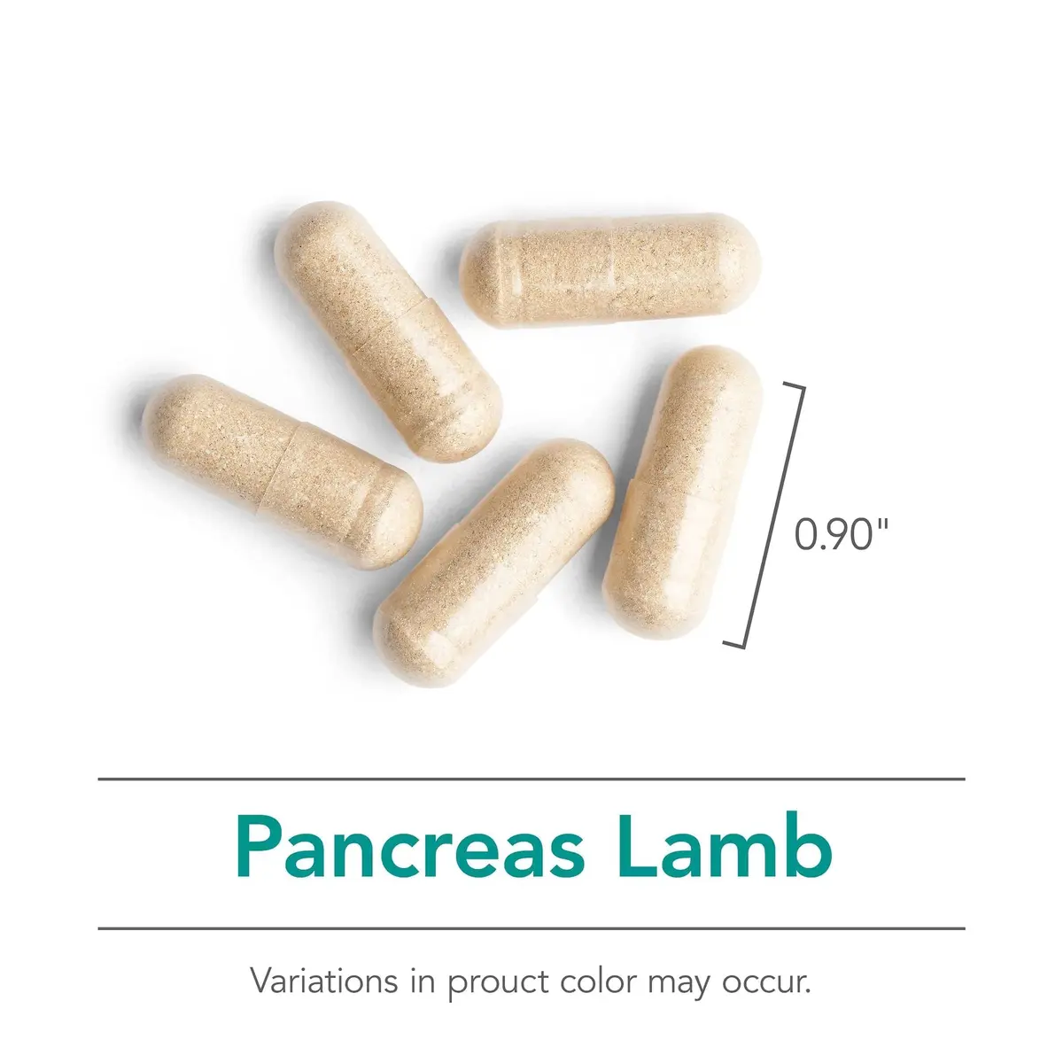 Allergy Research Group Nutricology Pancreas Lamb, Freeze Dried, 90 Count | Supports Digestive Enzymes & Bioactivity - view 5