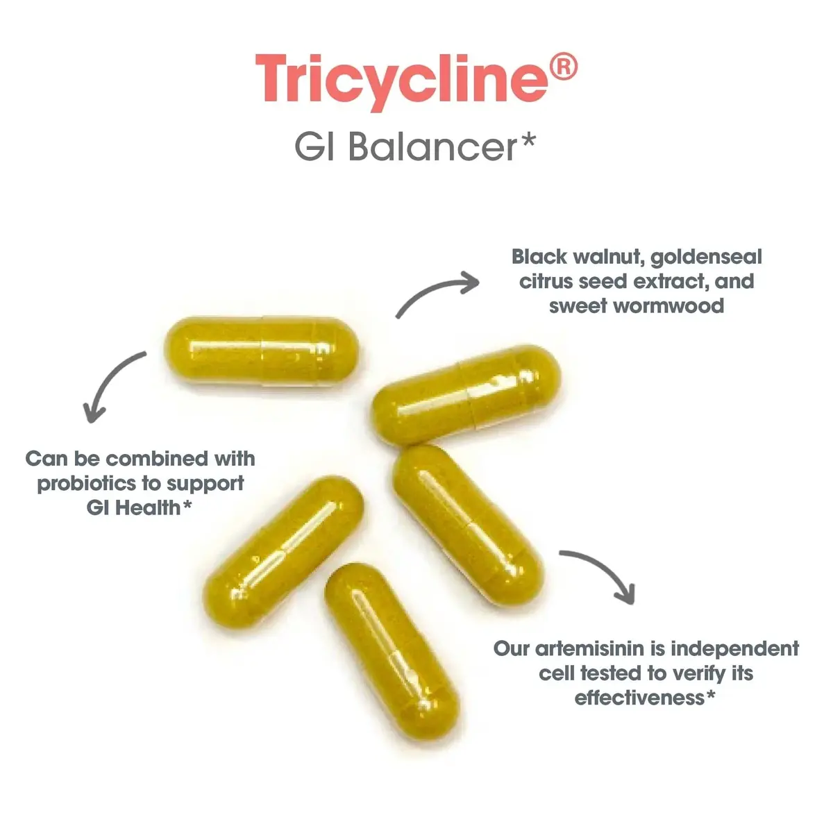 Allergy Research Group TriBiotics Berberine Artemisinin 90 Capsules | GI Support & Microbial Balance - view 5
