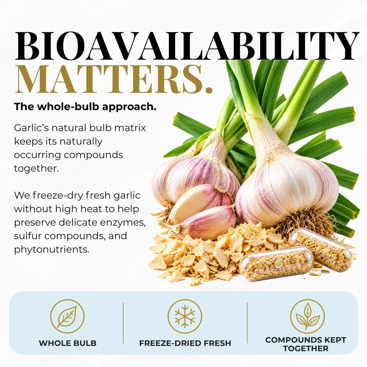 ECLECTIC INSTITUTE Garlic Capsules 50 CT | Heart & Immune Support, US Grown, Vegan, Gluten-Free - view 4