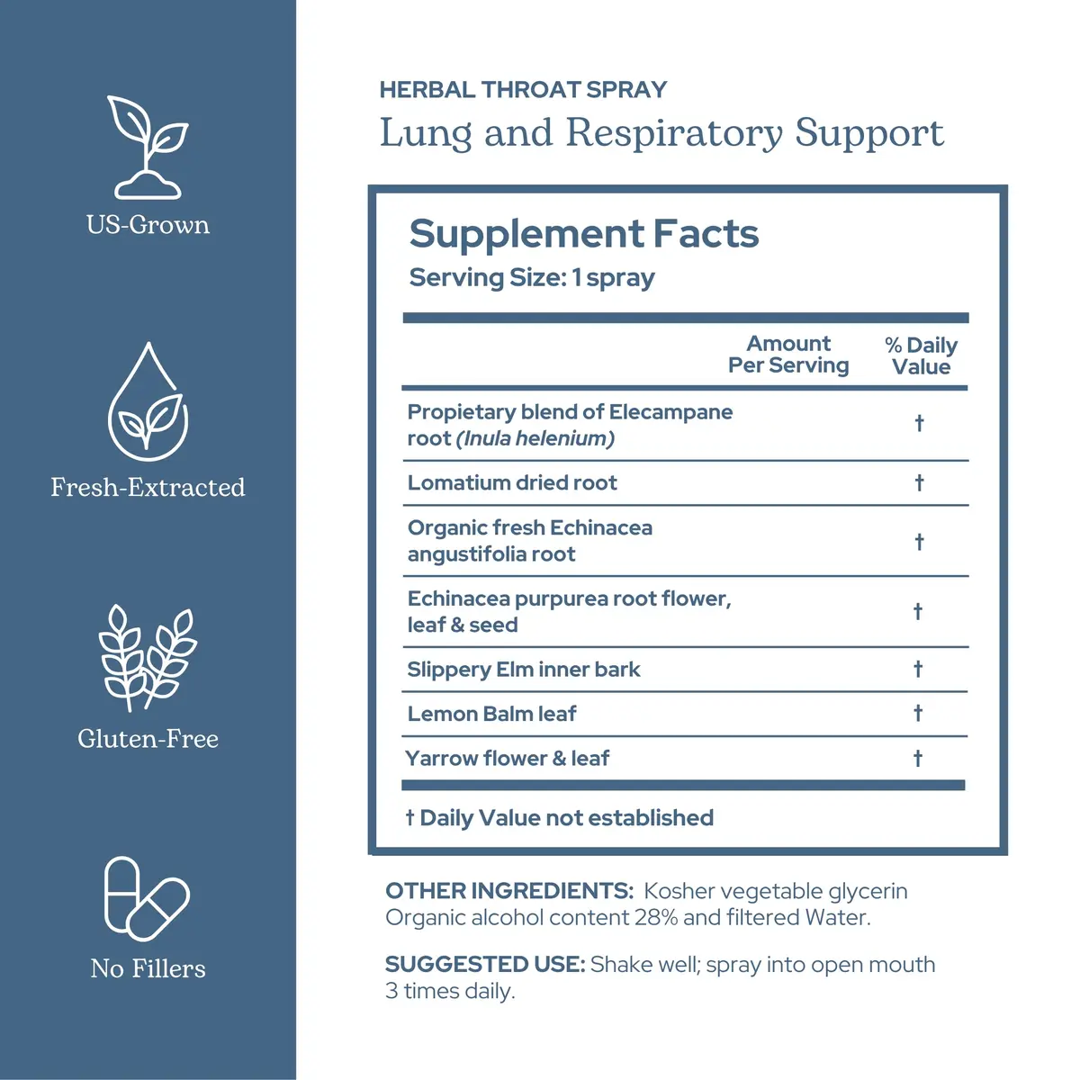 Eclectic Institute Lung & Respiratory Support Herbal Throat Spray | Natural, Vegan, Non-GMO (1 fl oz | 30 ml) - view 2