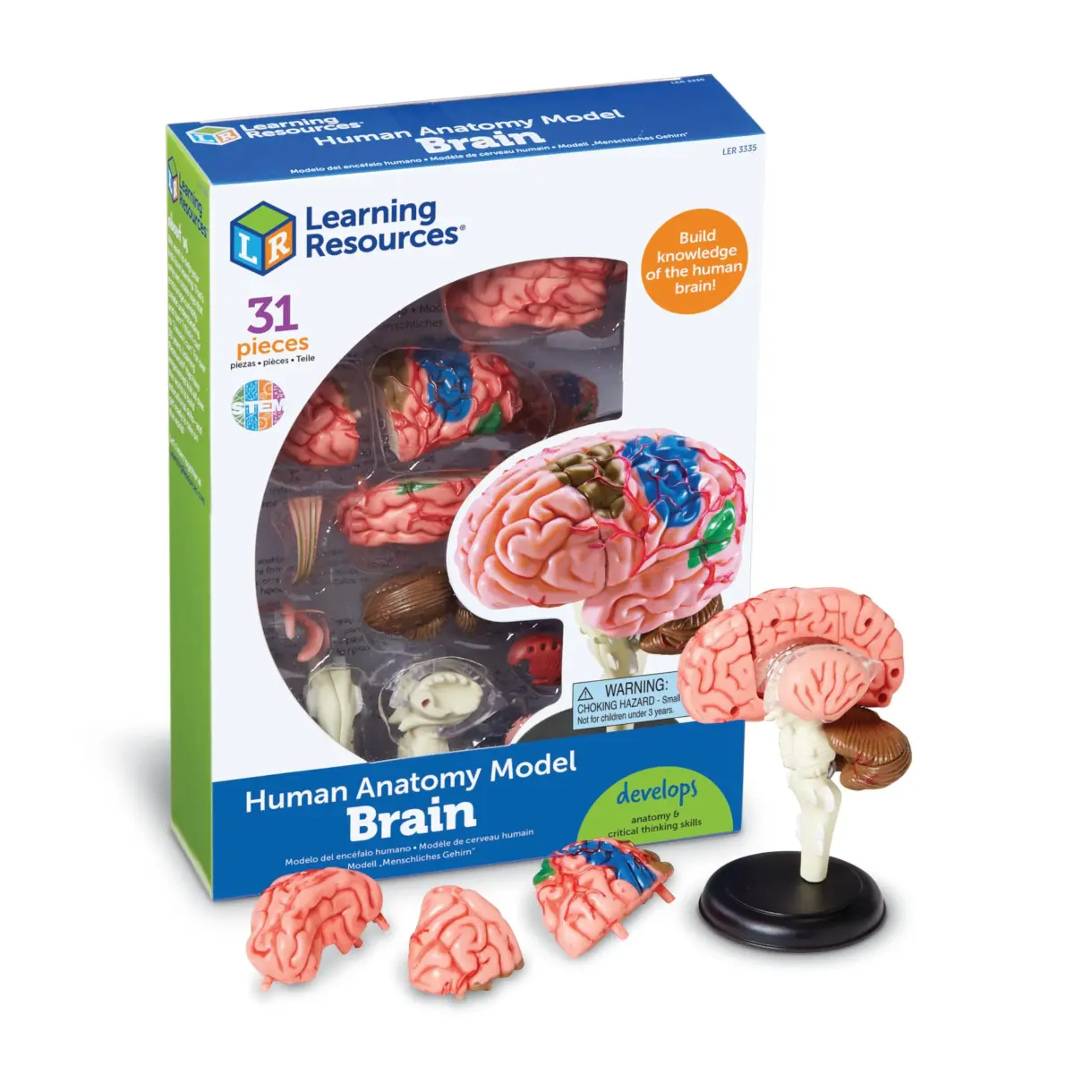 Learning Resources 31-Piece Human Anatomy Brain Model | 9.35 x 6.71 x 2.24 inches (23.7 x 17.0 x 5.7 cm) - main product image