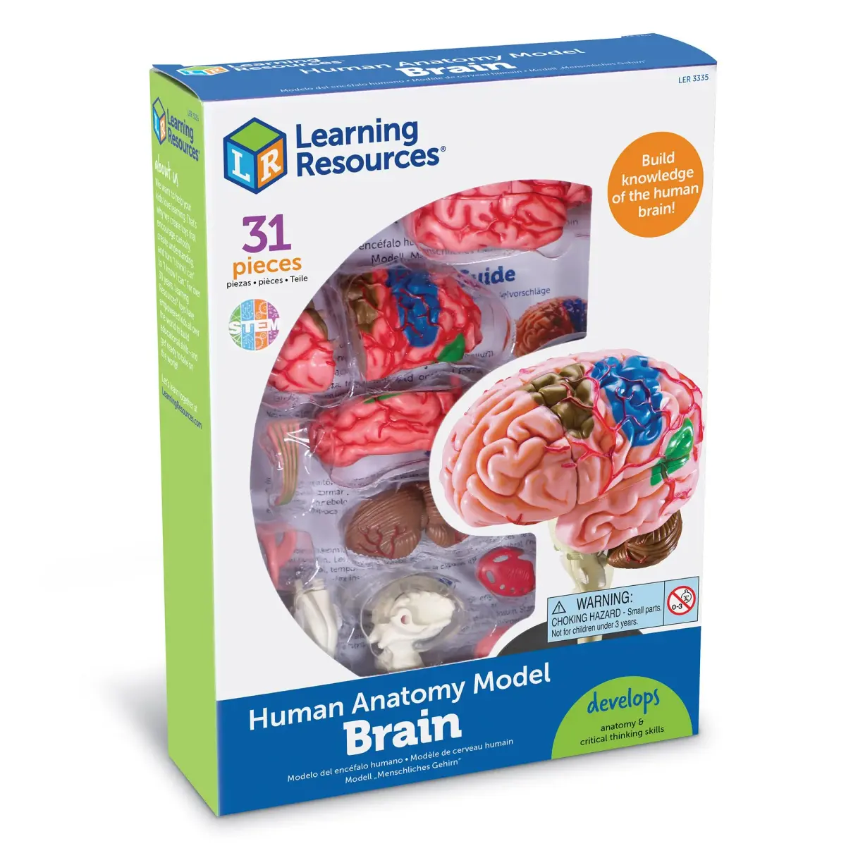 Learning Resources 31-Piece Human Anatomy Brain Model | 9.35 x 6.71 x 2.24 inches (23.7 x 17.0 x 5.7 cm) - view 4