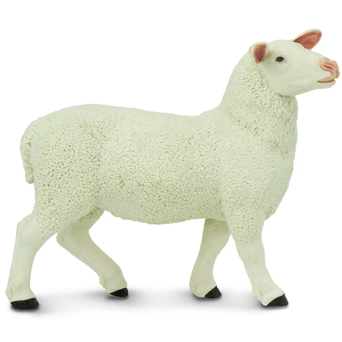 Safari Ltd. Ewe Figurine - Lifelike 3" Model Figure - Educational Toy for Kids 3+ - main product image