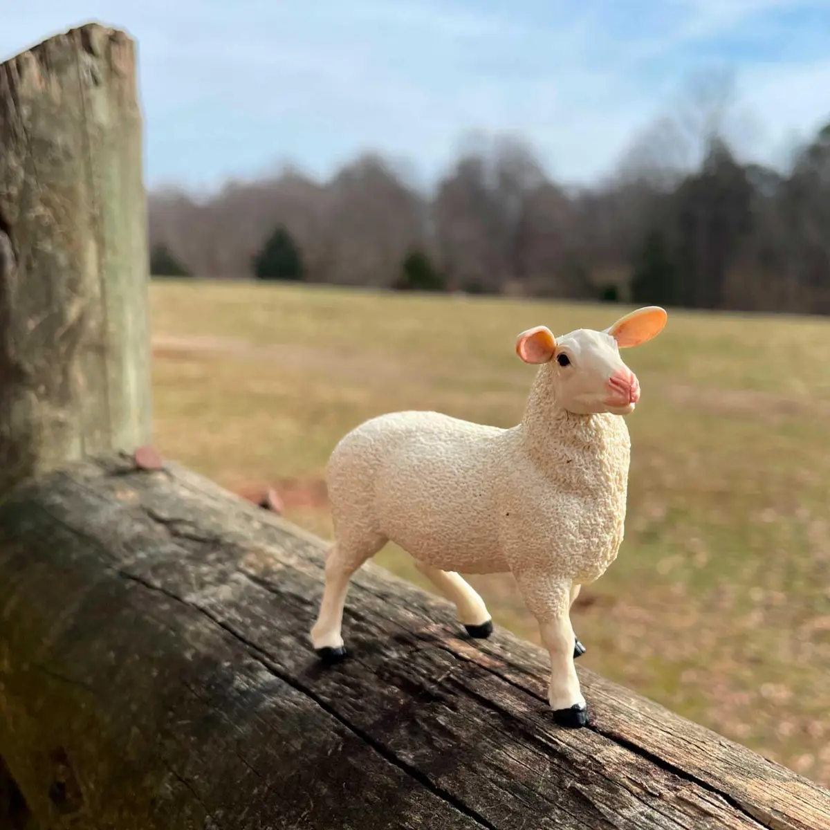 Safari Ltd. Ewe Figurine - Lifelike 3" Model Figure - Educational Toy for Kids 3+ - view 4