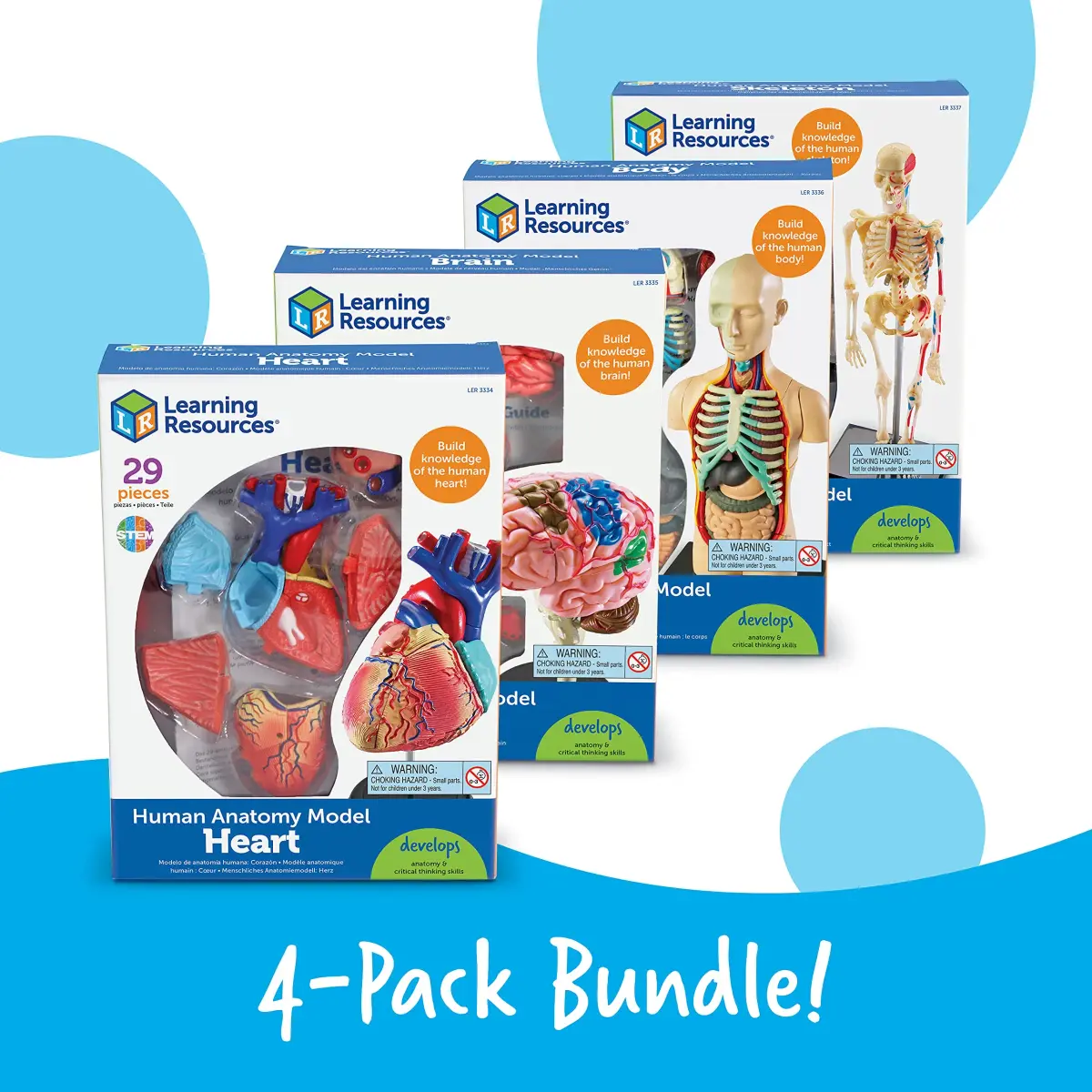 Learning Resources Anatomy Models Bundle Set - Heart, Brain, Body, Skeleton - Multicolor - view 5