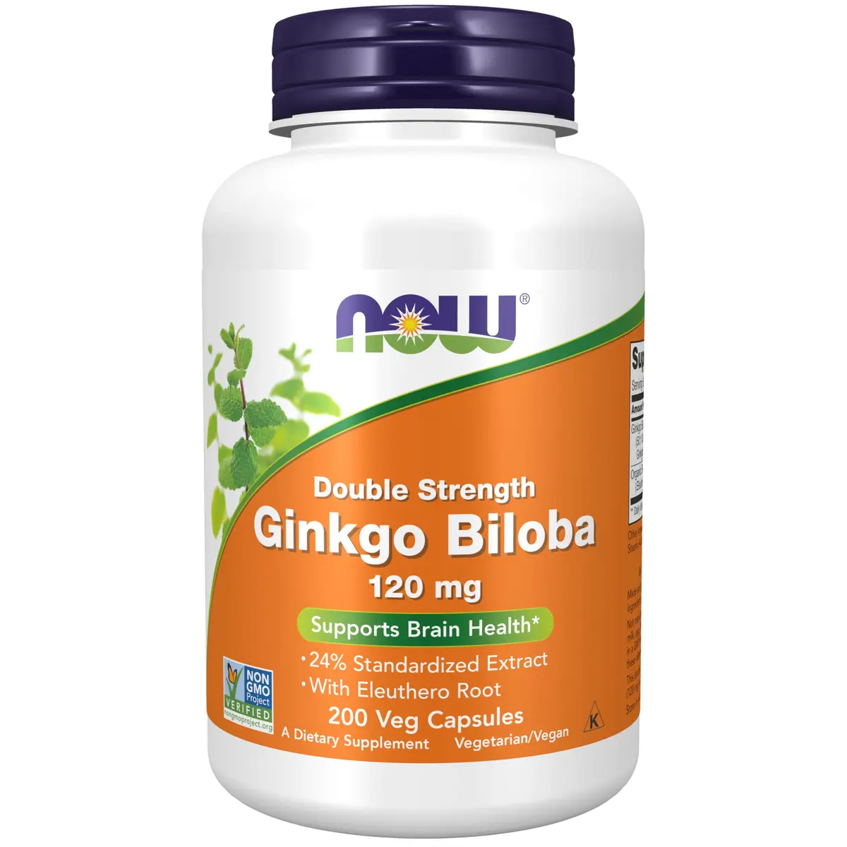 NOW Ginkgo Biloba 120 mg Double Strength | Supports Brain & Memory (70-120 chars) - main product image