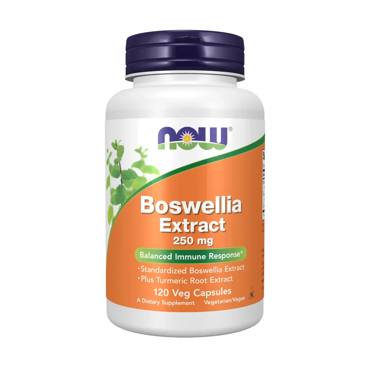 NOW Foods Boswellia Extract 250 mg with Turmeric Root Extract 120 Veg Capsules | Balanced Immune Response - main product image