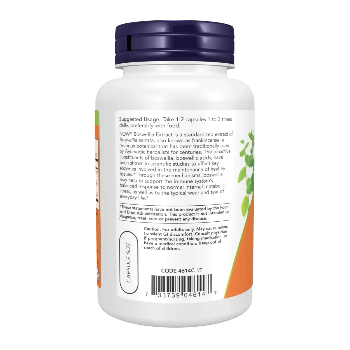 NOW Foods Boswellia Extract 250 mg with Turmeric Root Extract 120 Veg Capsules | Balanced Immune Response - view 3