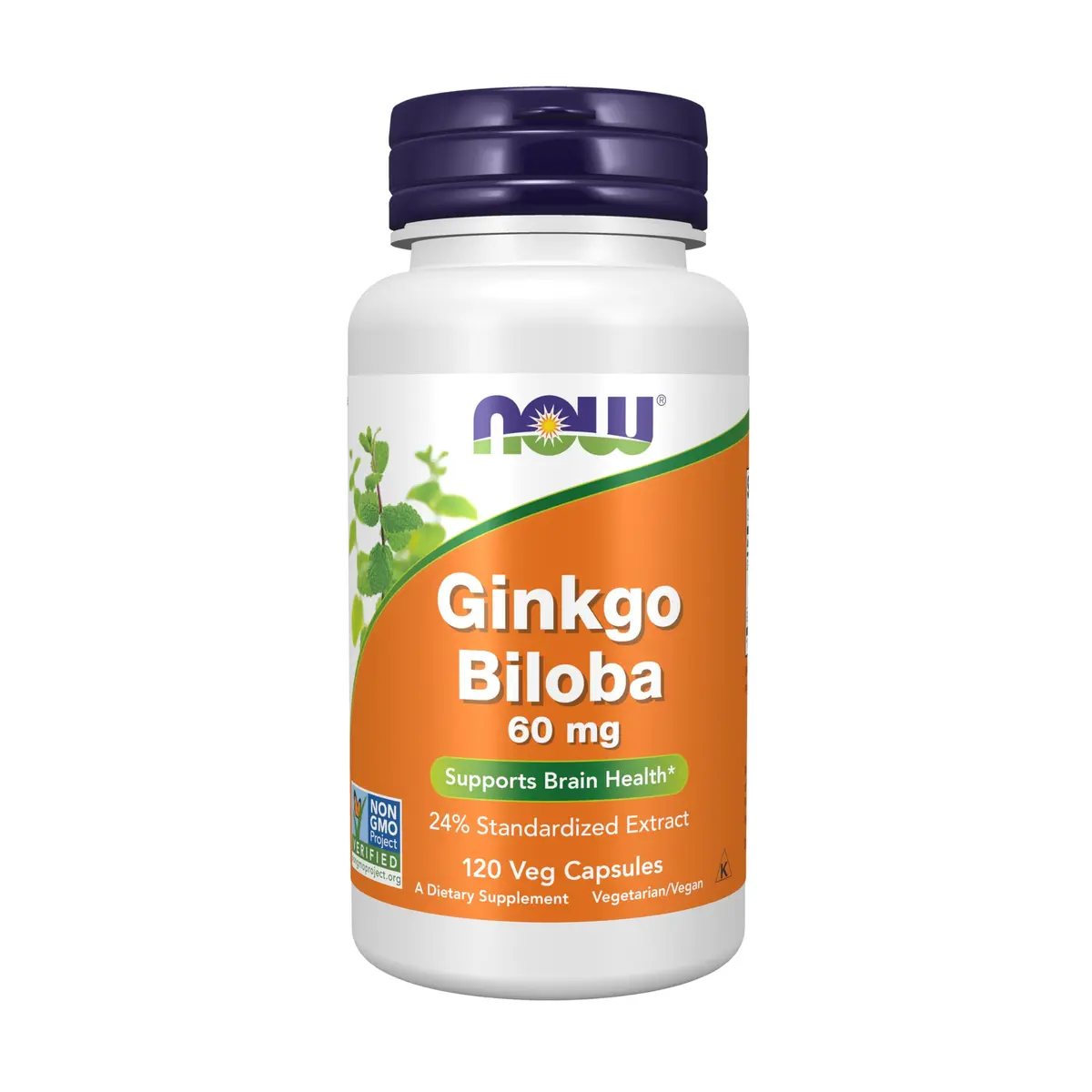 NOW Ginkgo Biloba 60 mg | Supports Brain Health & Free Radical Scavenging (70-120 chars) - main product image