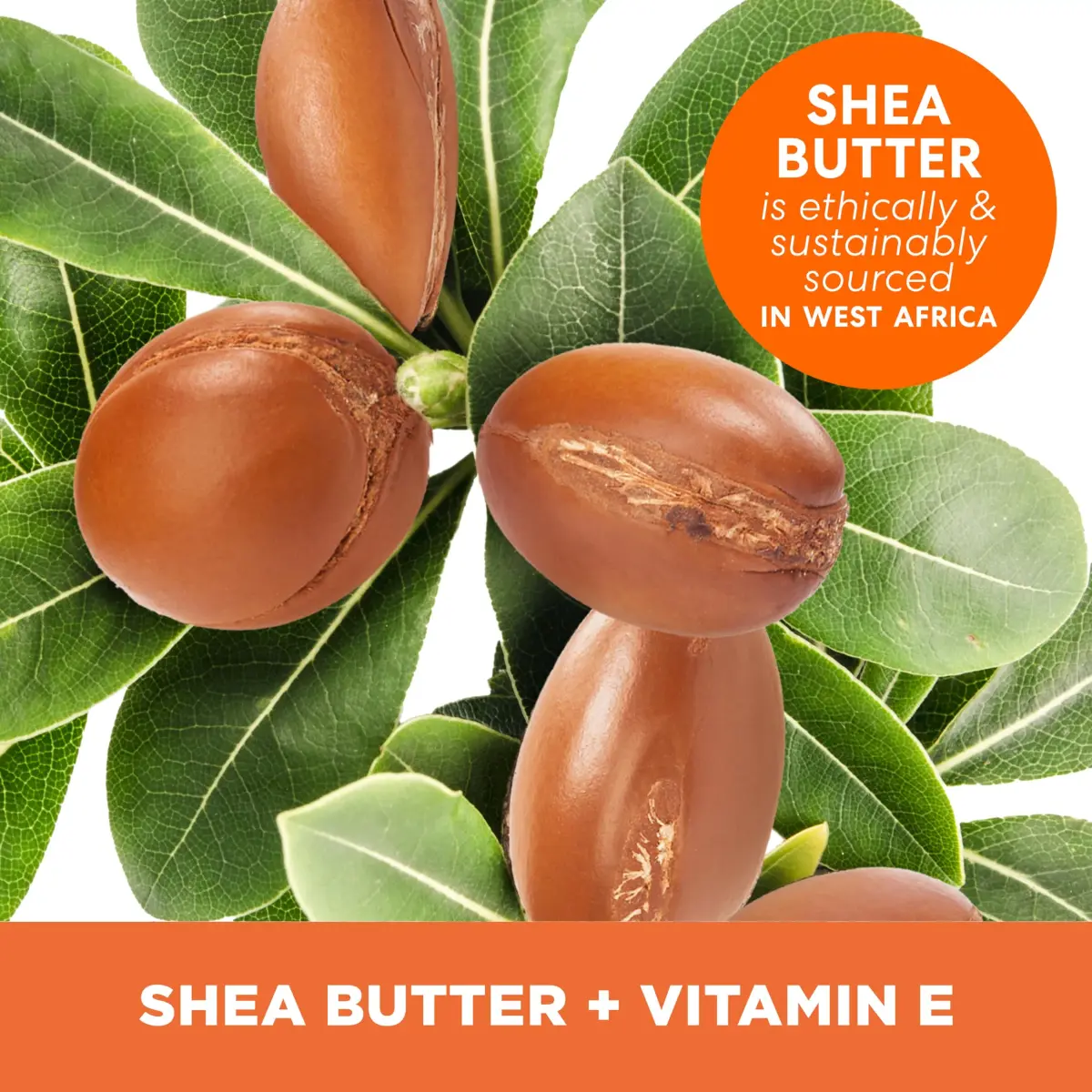 Palmer's Raw African Shea Body Butter Balm 210g (7.25 Oz) | Deeply Nourishes Dry Skin for 48 Hours - view 3