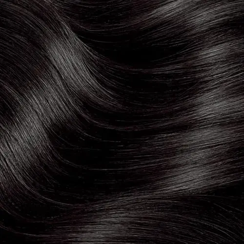 L'Oreal Paris Excellence Crème Permanent Hair Dye Black | Triple Care Color with Hyaluronic Acid for 100% Gray Coverage - main product image