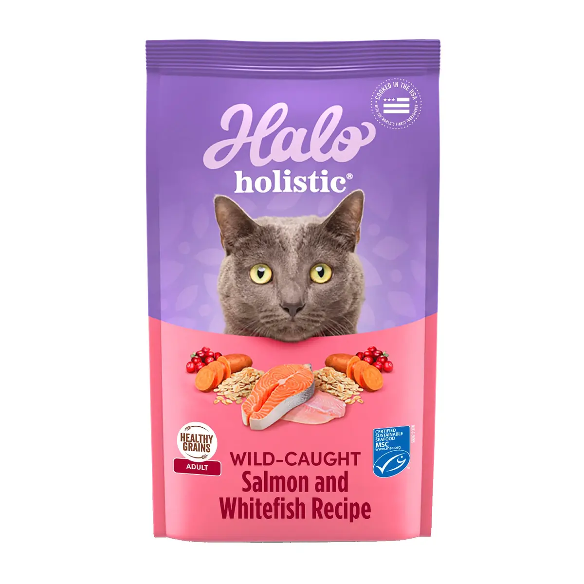 Halo Holistic Dry Cat Food, Wild-Caught Salmon & Whitefish Recipe, 1 Count (Pack of 1) | Complete Adult Cat Nutrition - main product image