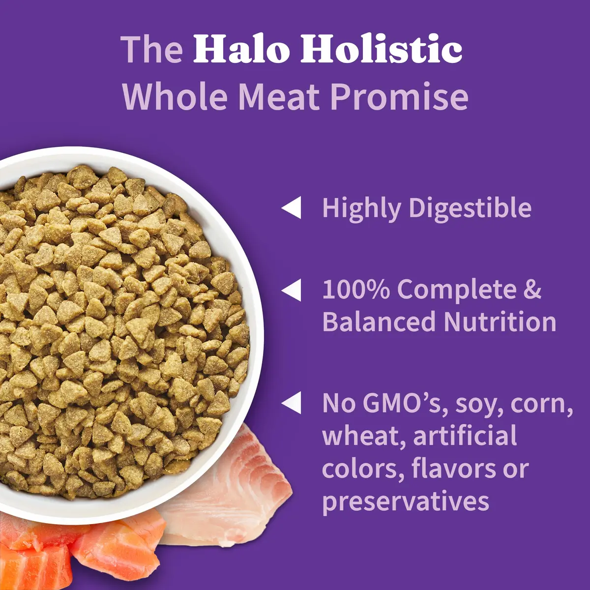 Halo Holistic Dry Cat Food, Wild-Caught Salmon & Whitefish Recipe, 1 Count (Pack of 1) | Complete Adult Cat Nutrition - view 5