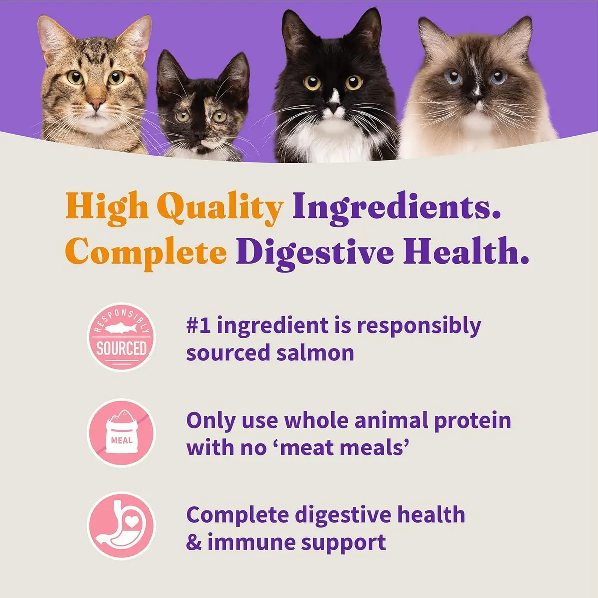 Halo Holistic Dry Cat Food, Wild-Caught Salmon & Whitefish Recipe, 1 Count (Pack of 1) | Complete Adult Cat Nutrition - view 6