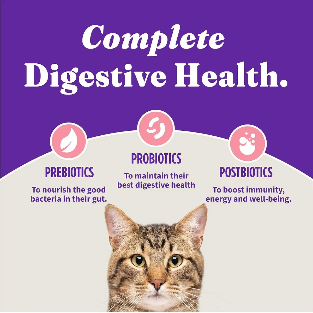 Halo Holistic Dry Cat Food, Wild-Caught Salmon & Whitefish Recipe, 1 Count (Pack of 1) | Complete Adult Cat Nutrition - view 8