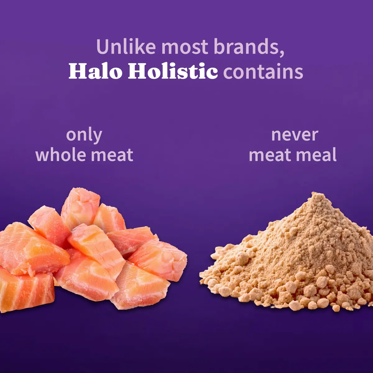 Halo Holistic Dry Cat Food, Wild-Caught Salmon & Whitefish Recipe, 1 Count (Pack of 1) | Complete Adult Cat Nutrition - view 4