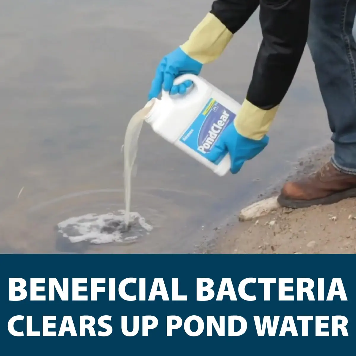 Airmax PondClear Liquid Bacteria Water Clarifier for Ponds & Lakes, 1 Gal - view 3