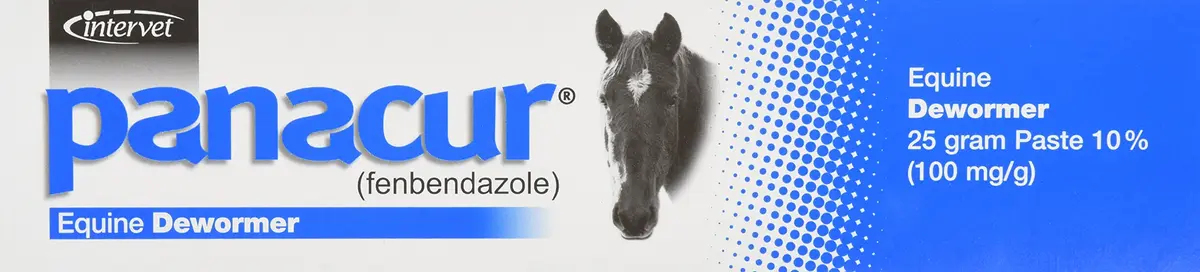 Intervet Panacur Dewormer Horse Paste 10% | Flavored with Apple Cinnamon, 100mg | Supports Horse Parasite Control - view 2