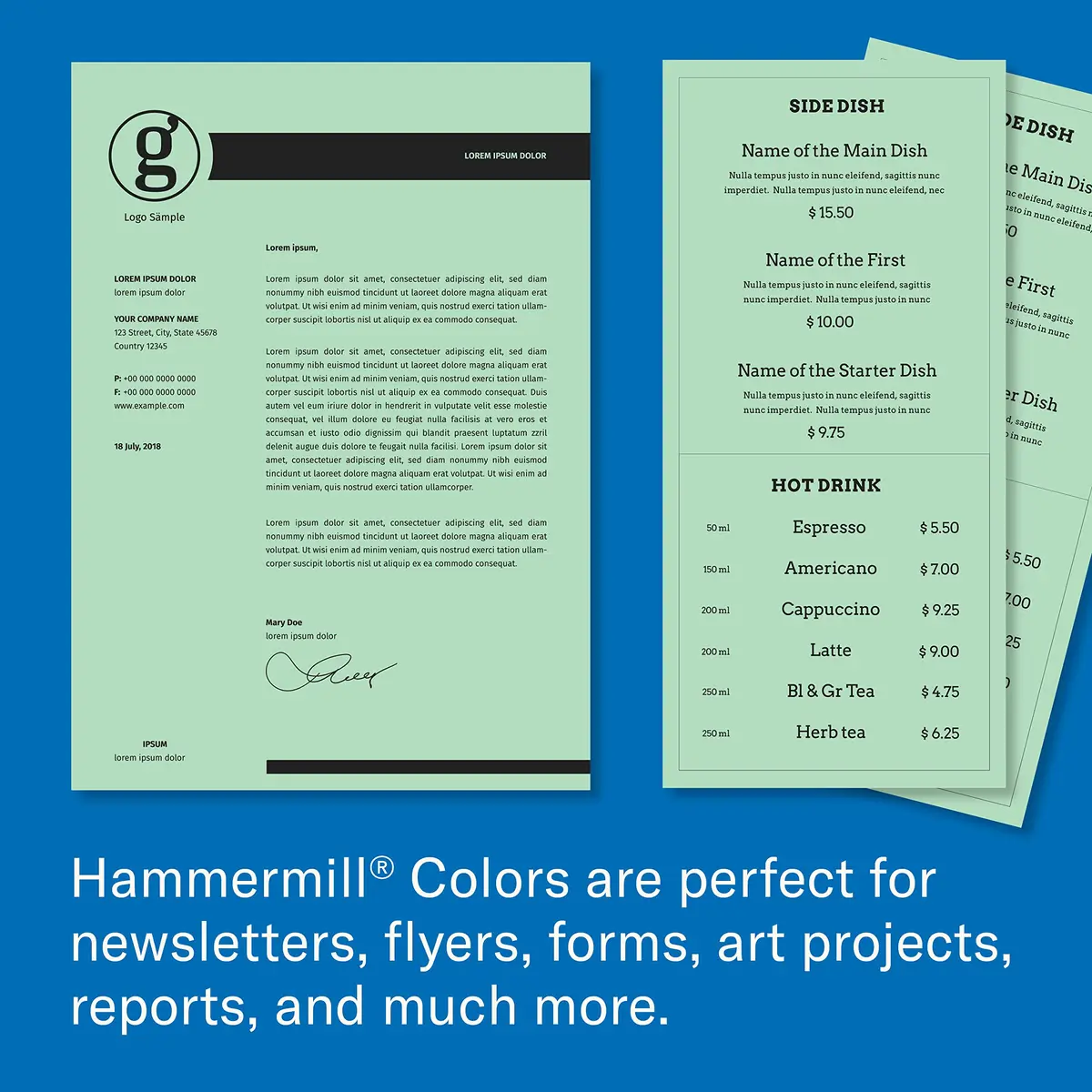Hammermill Green Printer Paper, 20 lb Ledger 11 x 17-inch (500 Sheets) | Smooth Surface, 30% Recycled Fiber - view 7