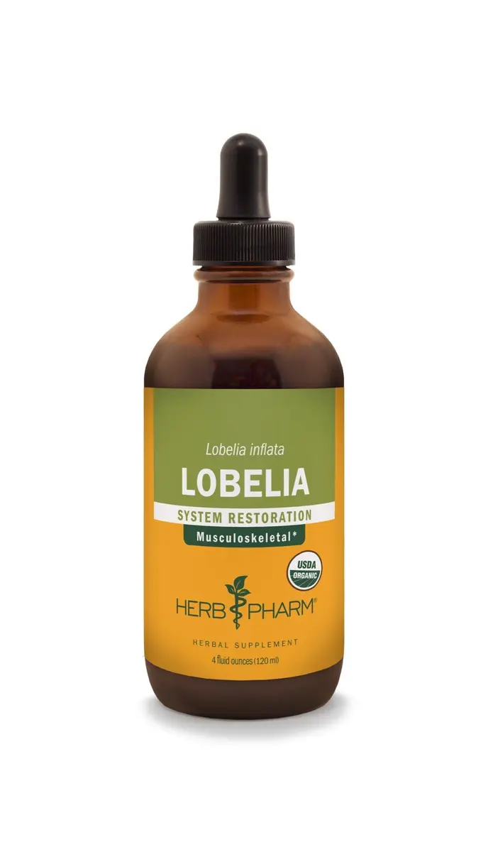 Herb Pharm Organic Lobelia Liquid Extract Drops 4 Oz | Supports Musculoskeletal System - main product image