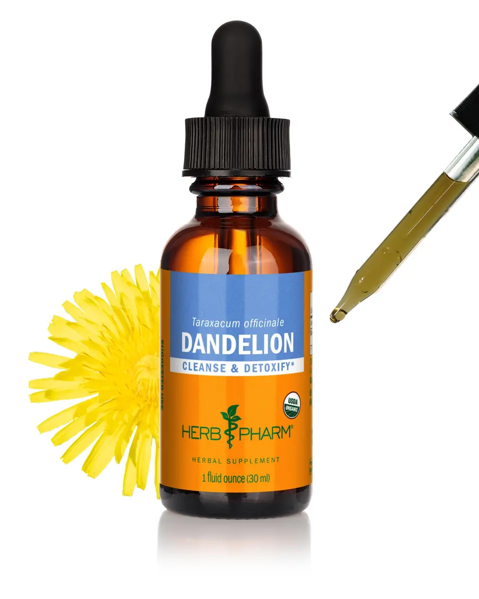 Herb Pharm Organic Dandelion Liquid Extract Drops 1 Fl Oz | Supports Detox & Cleansing - main product image