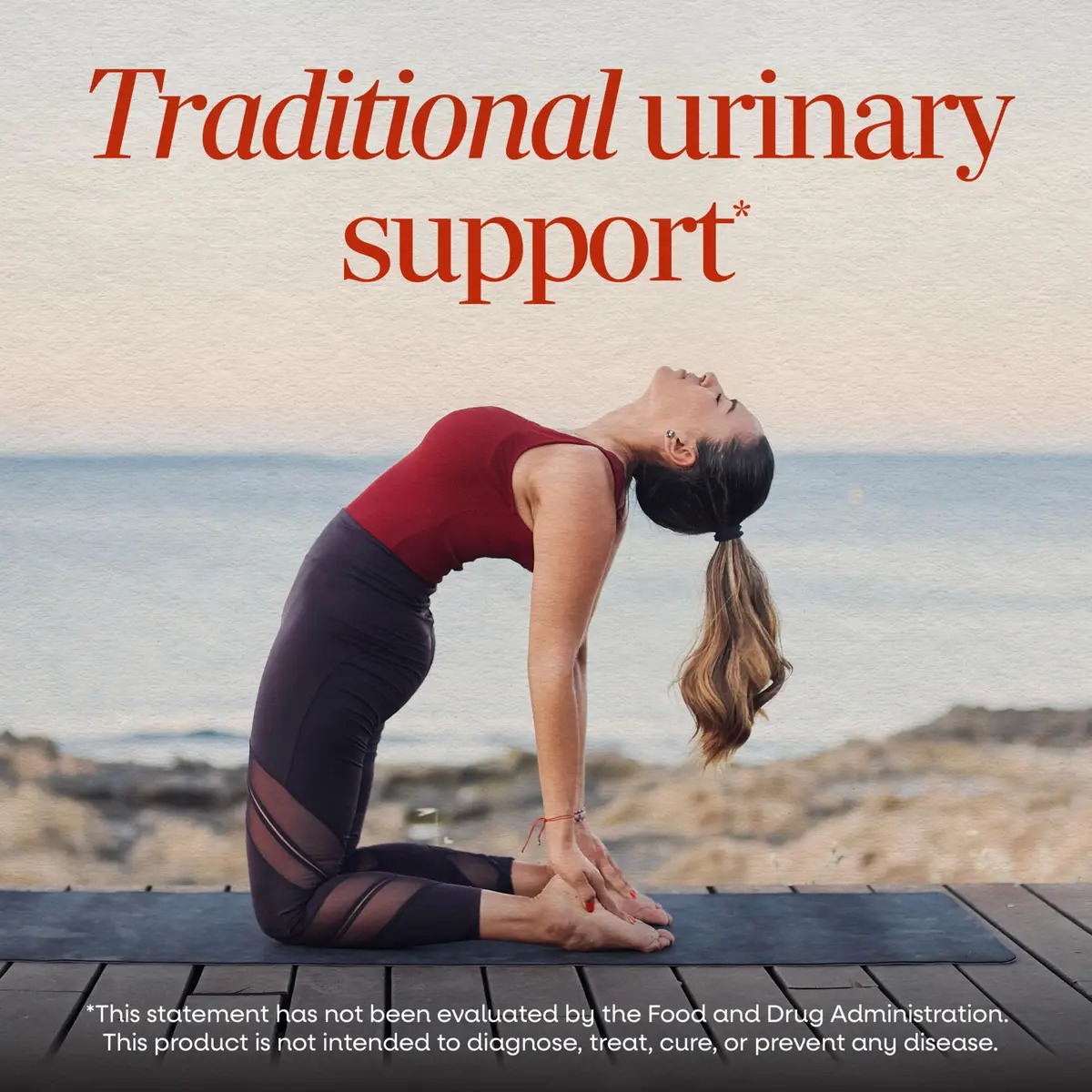Nature's Way Nettle Leaf Urinary Support Supplement 100 Count | Traditional Herbal Wellness - view 2