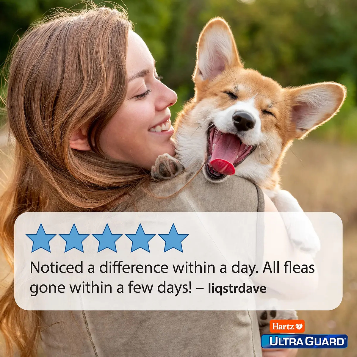 Hartz UltraGuard Flea and Tick Dog Spray 473ml (16 Fl Oz) | Kills and Repels Fleas and Ticks - view 5