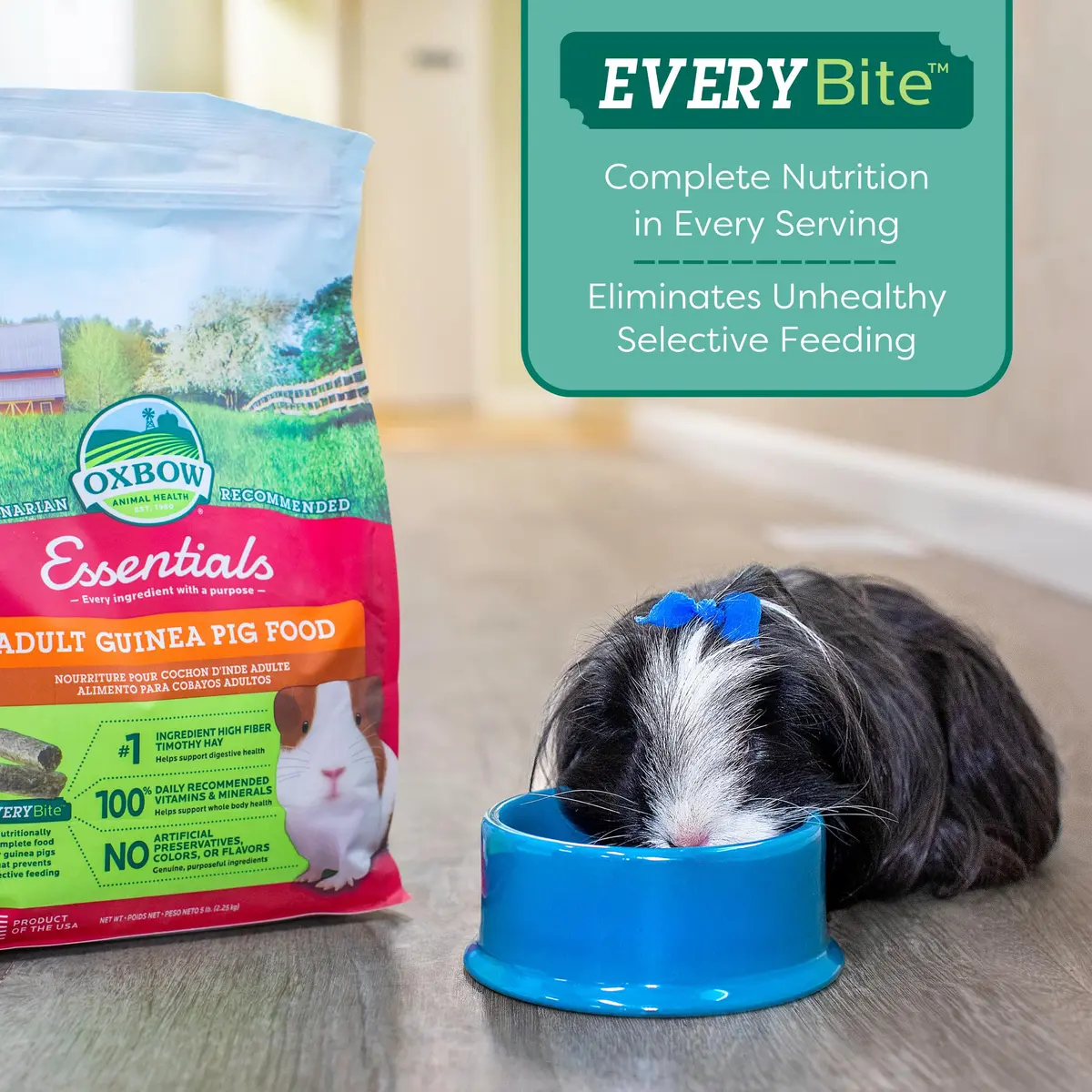 Oxbow Essentials Adult Guinea Pig Food, Timothy Hay Pellets, 4.54kg (10 lb) | Supports Digestion & Immunity - view 7