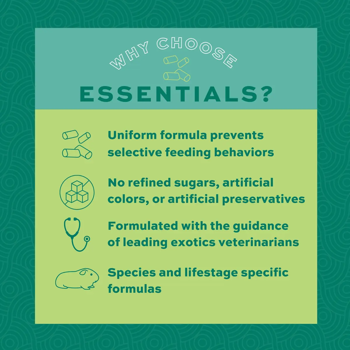 Oxbow Essentials Adult Guinea Pig Food, Timothy Hay Pellets, 4.54kg (10 lb) | Supports Digestion & Immunity - view 4