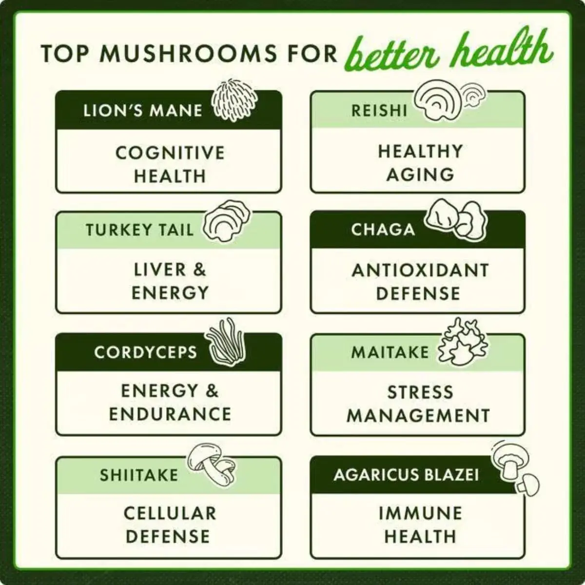 Swanson Turkey Tail Mushroom Herbal Supplement 500 mg 120 Capsules | Supports Immune System & Cellular Health - view 3