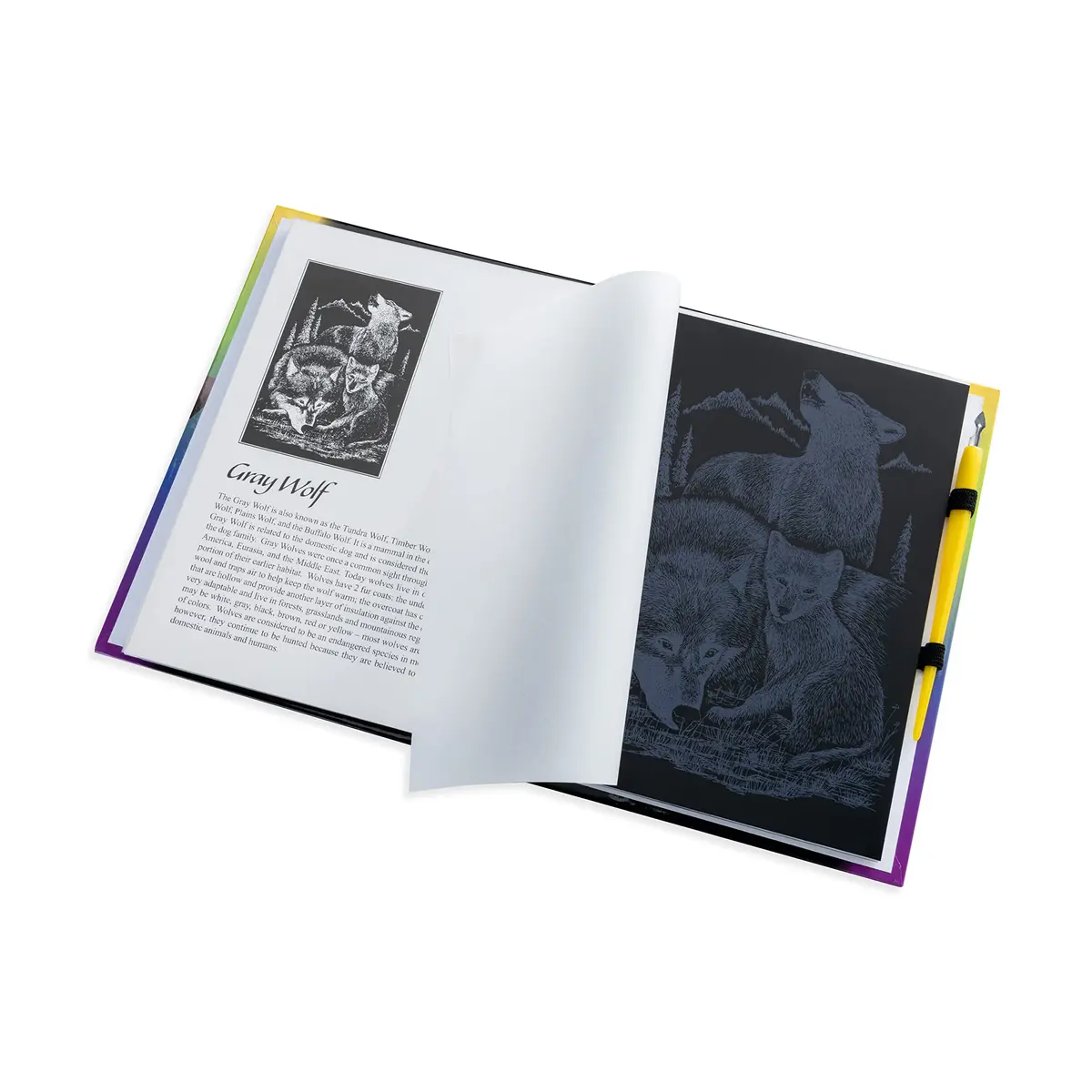 Royal & Langnickel North American Wildlife Engraving Art Book 7 x 0.625 inches | Wildlife Art & Education - view 5