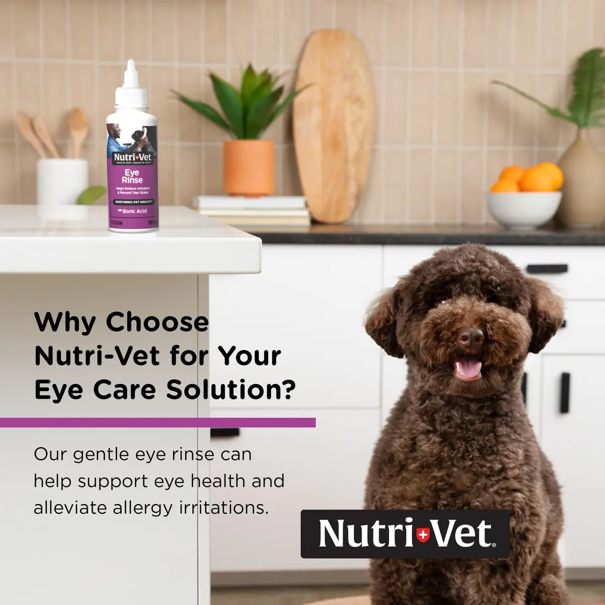 Nutri-Vet Dog Eye Wash, Tear Stain Remover, 4oz | Gentle Formula for Irritated Eyes & Tear Stains - view 3