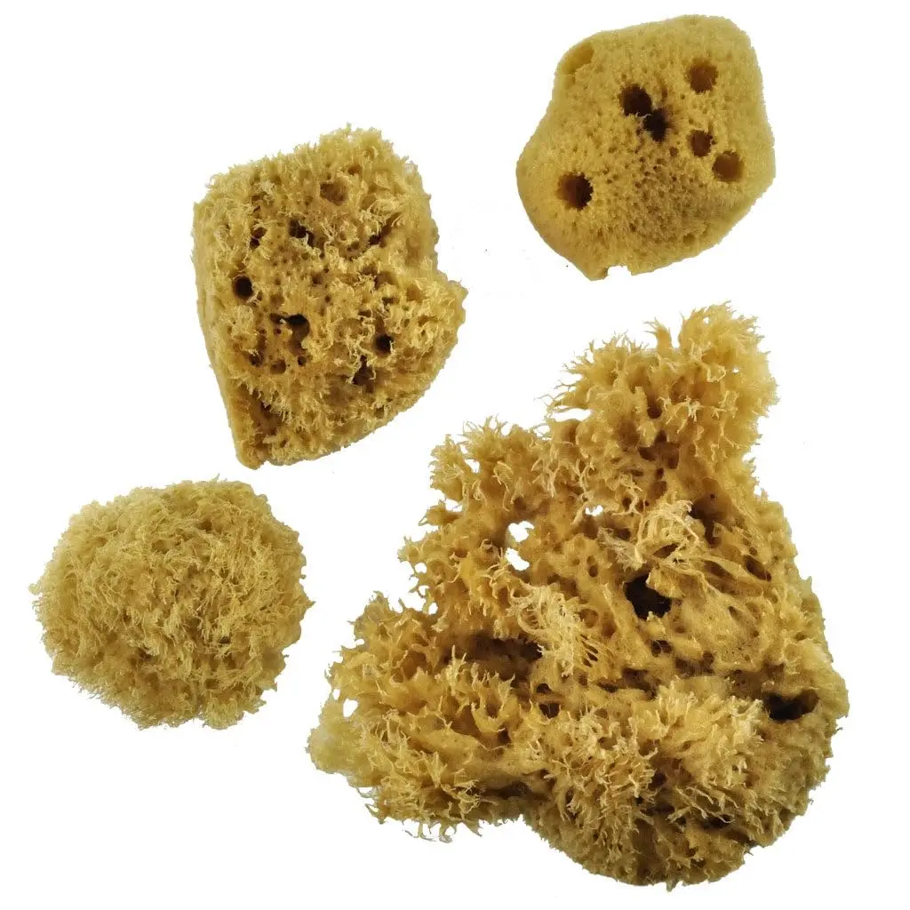 Royal & Langnickel Sea Silk Sponges Pack of 4 | Natural Decorative Painting Tool (80-120 chars) - view 2