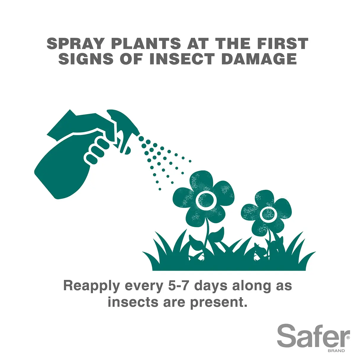Safer Insect Killing Soap Concentrate 473ml (16 Fl Oz) | OMRI Listed Organic Insecticide for Plants - view 4