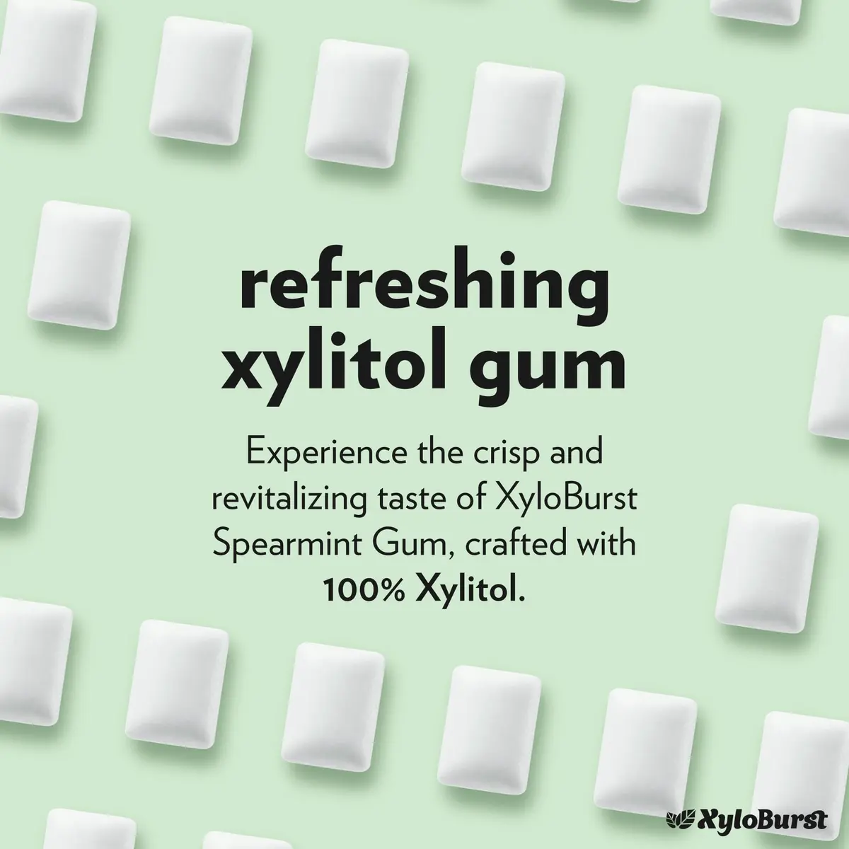 Xyloburst Spearmint Chewing Gum | Sugar Free, Gluten Free, Keto Friendly | 12 Pieces - view 5