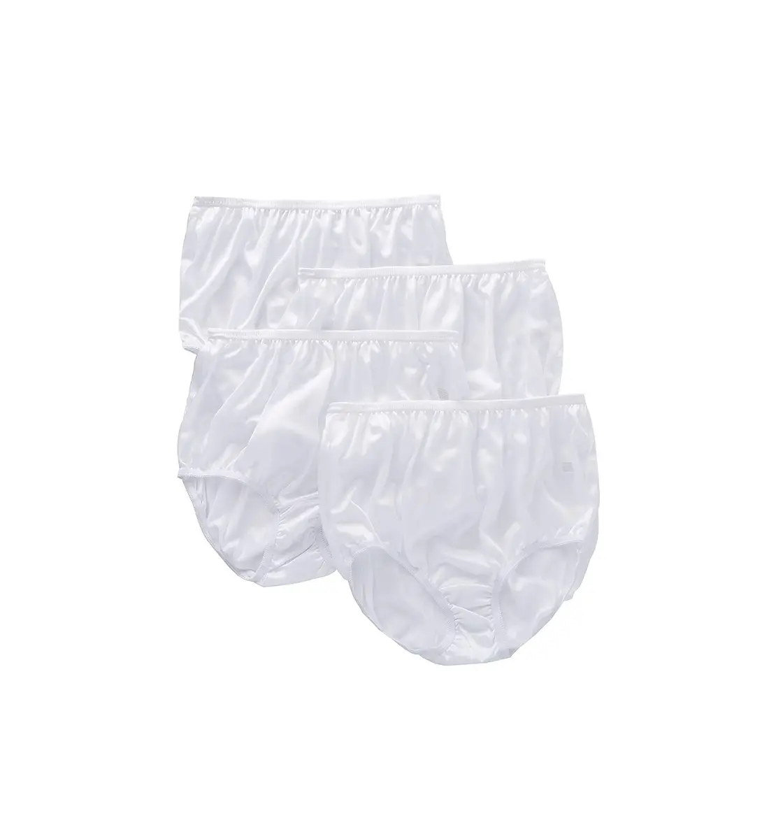 Teri Women's 331X Plus Full Cut Nylon Briefs | Full Coverage Panty - 4 Pack - main product image