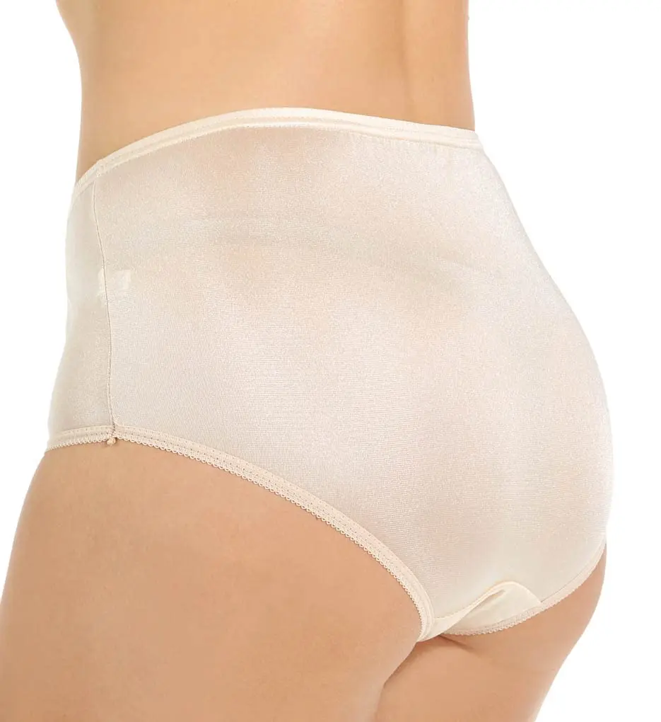 Teri Women's 331X Plus Full Cut Nylon Briefs | Full Coverage Panty - 4 Pack - view 4