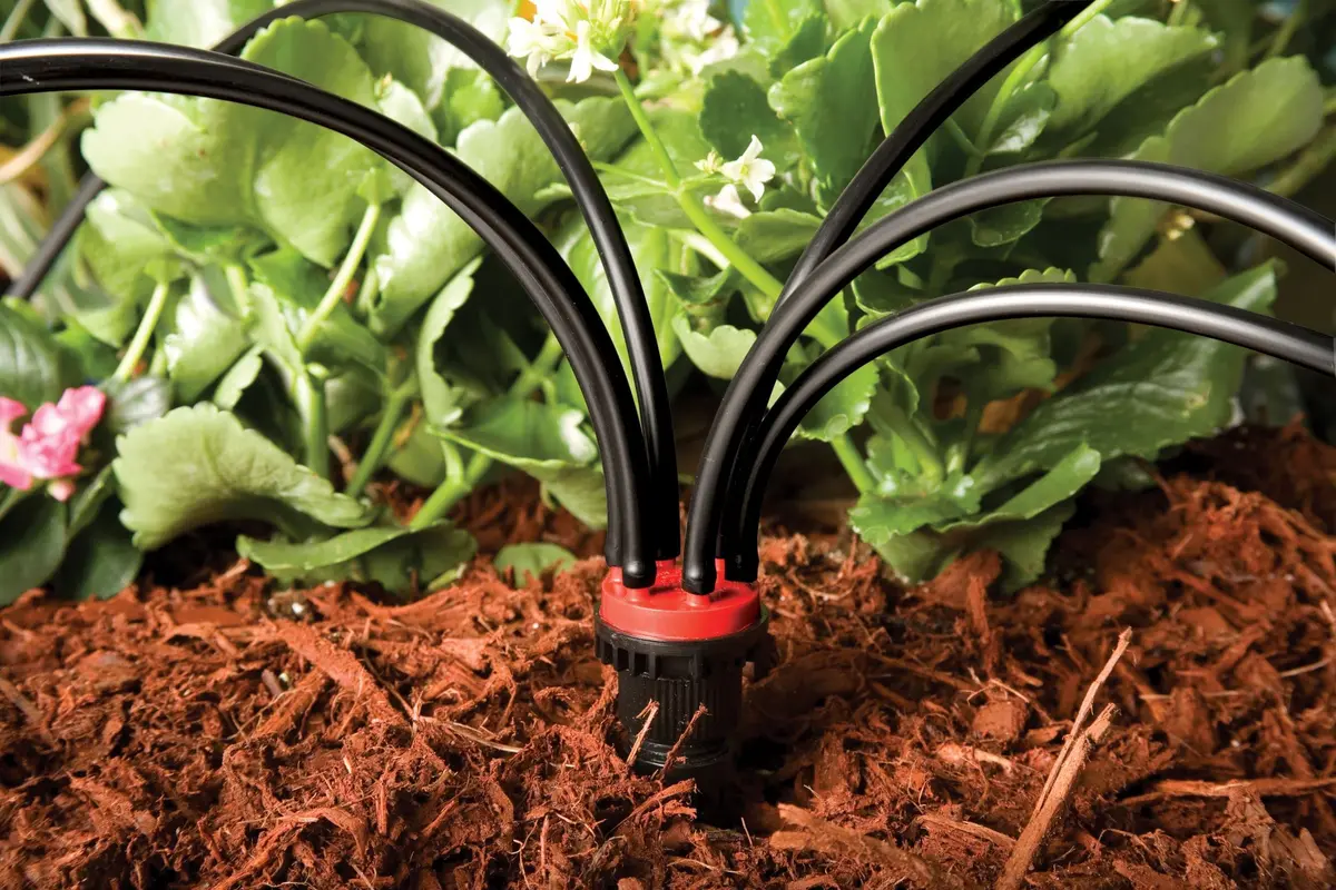 Rain Bird 6-Port Drip Manifold 2 GPH | Connects Six 1/4" Tubes to 1/2" Riser - view 2